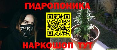 прущая мука Севастополь