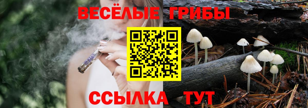 Псилоцибиновые грибы Magic Shrooms Ржев