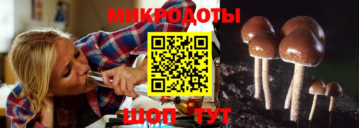 Галлюциногенные грибы Magic Shrooms  Галлюциногенные грибы мицелий  Вход с VPN  Ржев 